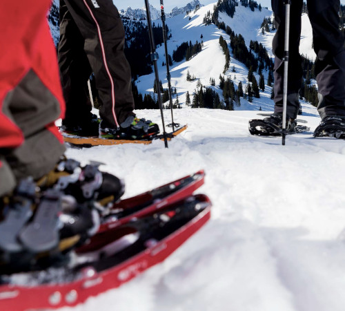 chateau-oex-gstaad-rougemont-saanen-ski-lessons-unterricht-les-ski-cours-group-groep-collectif-prive-privat-ski-school-ecole-vaud-suisse-schweiz-switzerland