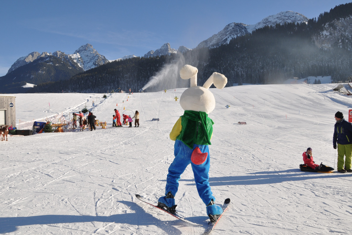chateau-oex-gstaad-rougemont-saanen-ski-lessons-unterricht-les-ski-cours-group-groep-collectif-prive-privat-ski-school-ecole-vaud-suisse-schweiz-switzerland