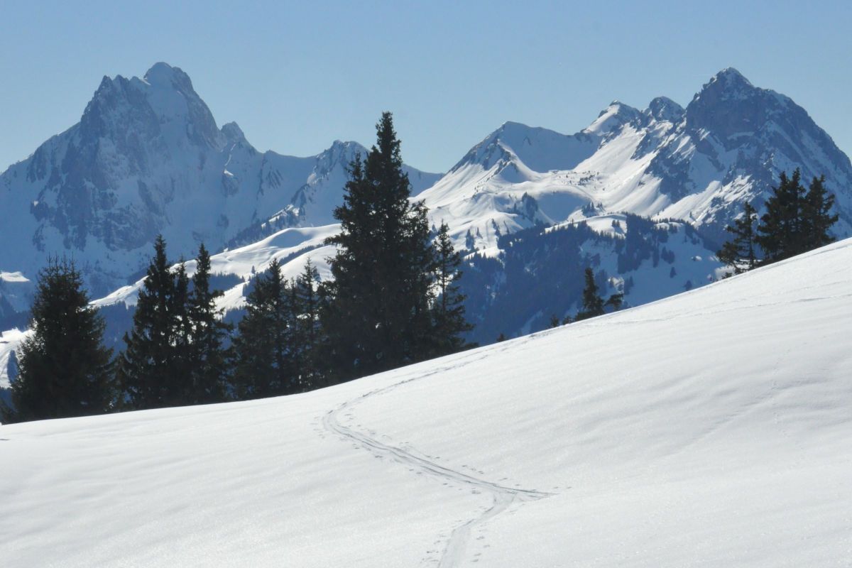 chateau-oex-gstaad-rougemont-saanen-ski-lessons-unterricht-les-ski-cours-group-groep-collectif-prive-privat-ski-school-ecole-vaud-suisse-schweiz-switzerland