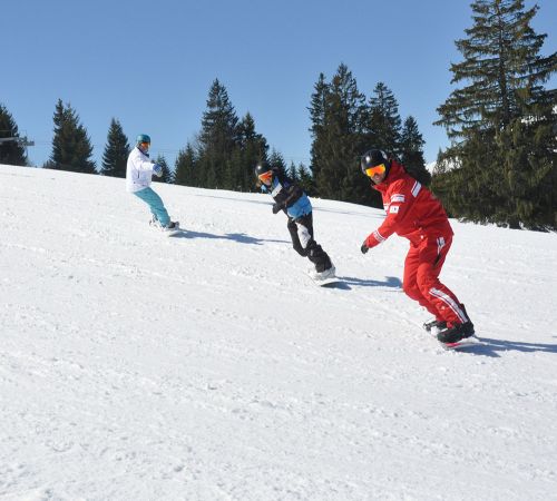 chateau-oex-gstaad-rougemont-saanen-ski-lessons-unterricht-les-ski-cours-group-groep-collectif-prive-privat-ski-school-ecole-vaud-suisse-schweiz-switzerland