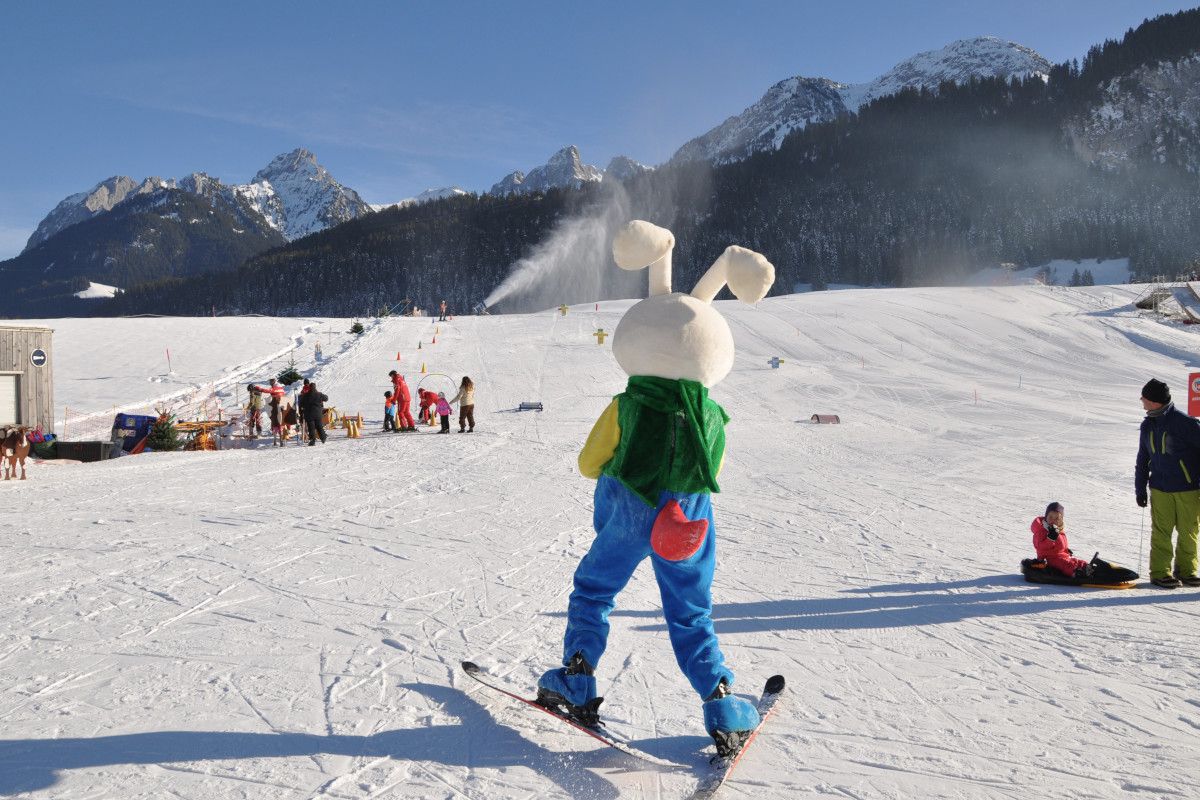 chateau-oex-gstaad-rougemont-saanen-ski-lessons-unterricht-les-ski-cours-group-groep-collectif-prive-privat-ski-school-ecole-vaud-suisse-schweiz-switzerland