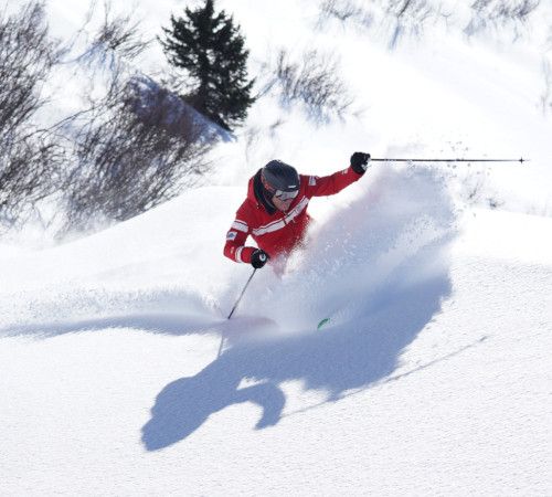 chateau-oex-gstaad-rougemont-saanen-ski-lessons-unterricht-les-ski-cours-group-groep-collectif-prive-privat-ski-school-ecole-vaud-suisse-schweiz-switzerland