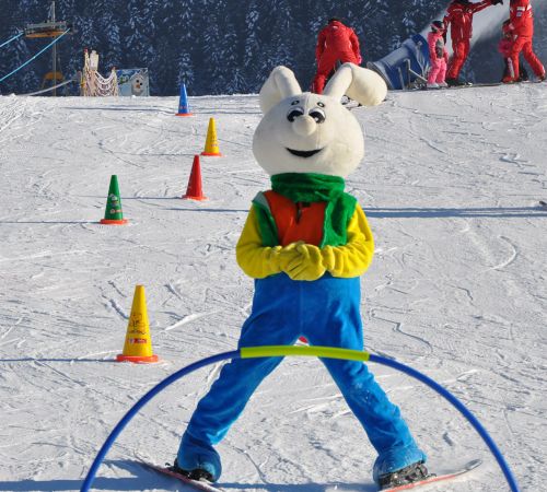 chateau-oex-gstaad-rougemont-saanen-ski-lessons-unterricht-les-ski-cours-group-groep-collectif-prive-privat-ski-school-ecole-vaud-suisse-schweiz-switzerland