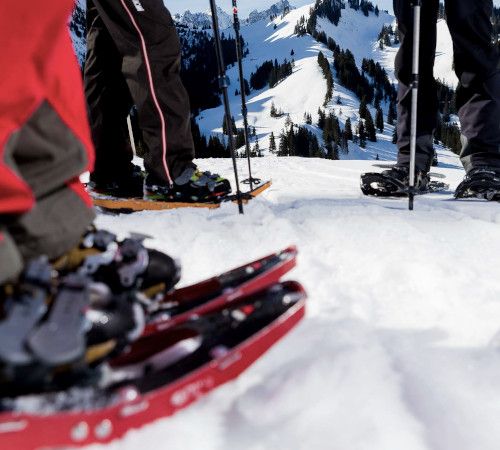 chateau-oex-gstaad-rougemont-saanen-ski-lessons-unterricht-les-ski-cours-group-groep-collectif-prive-privat-ski-school-ecole-vaud-suisse-schweiz-switzerland