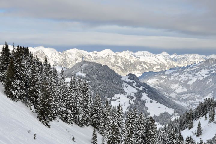 chateau-oex-gstaad-rougemont-saanen-ski-lessons-unterricht-les-ski-cours-group-groep-collectif-prive-privat-ski-school-ecole-vaud-suisse-schweiz-switzerland