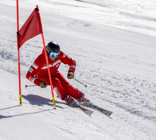 chateau-oex-gstaad-rougemont-saanen-ski-lessons-unterricht-les-ski-cours-group-groep-collectif-prive-privat-ski-school-ecole-vaud-suisse-schweiz-switzerland