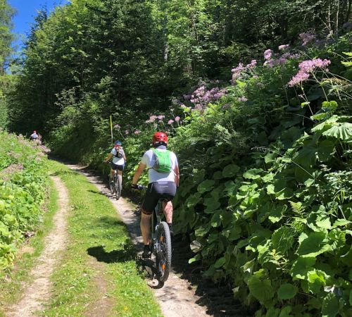 velo guide, ballade en velo, vtt, e bike, valais